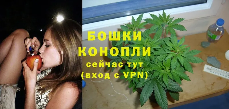 Конопля THC 21%  наркошоп  Майкоп 